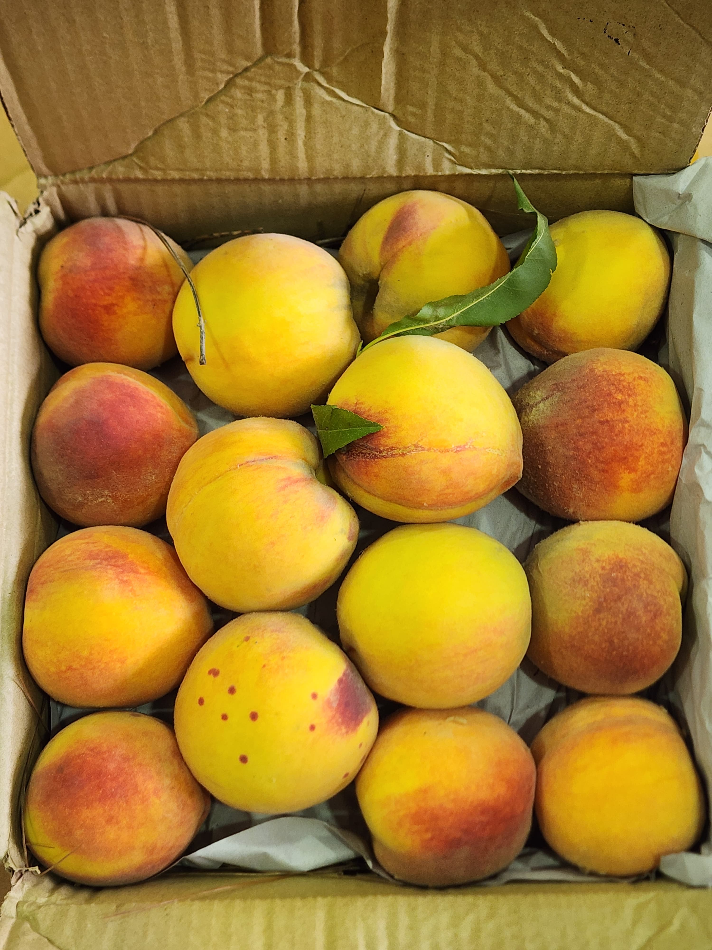 Premium Fresh Farm Peaches
