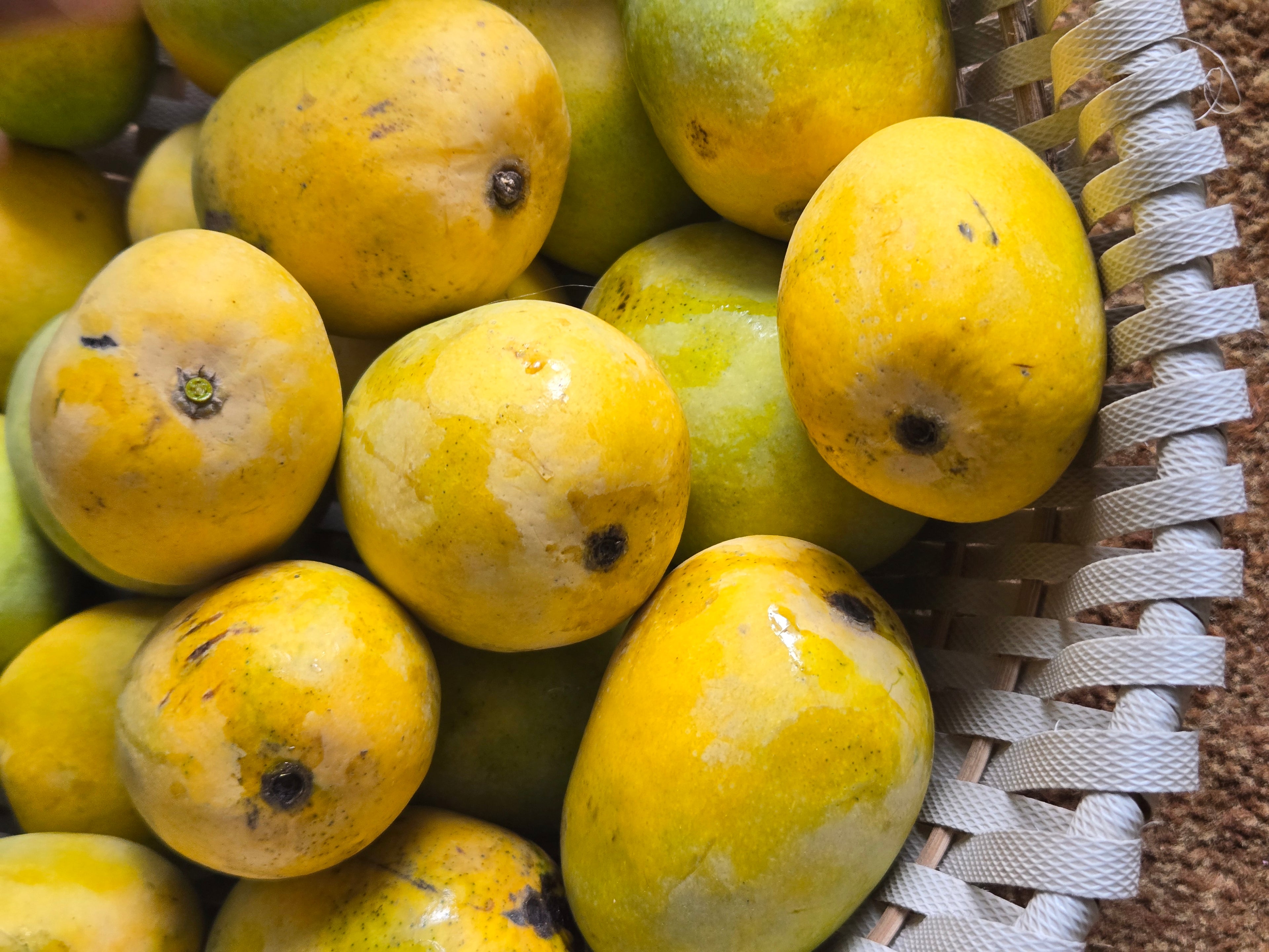 Premium Anwar Ratol Mangoes