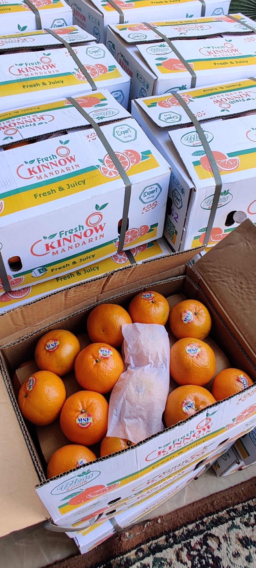 Export Quality Oranges