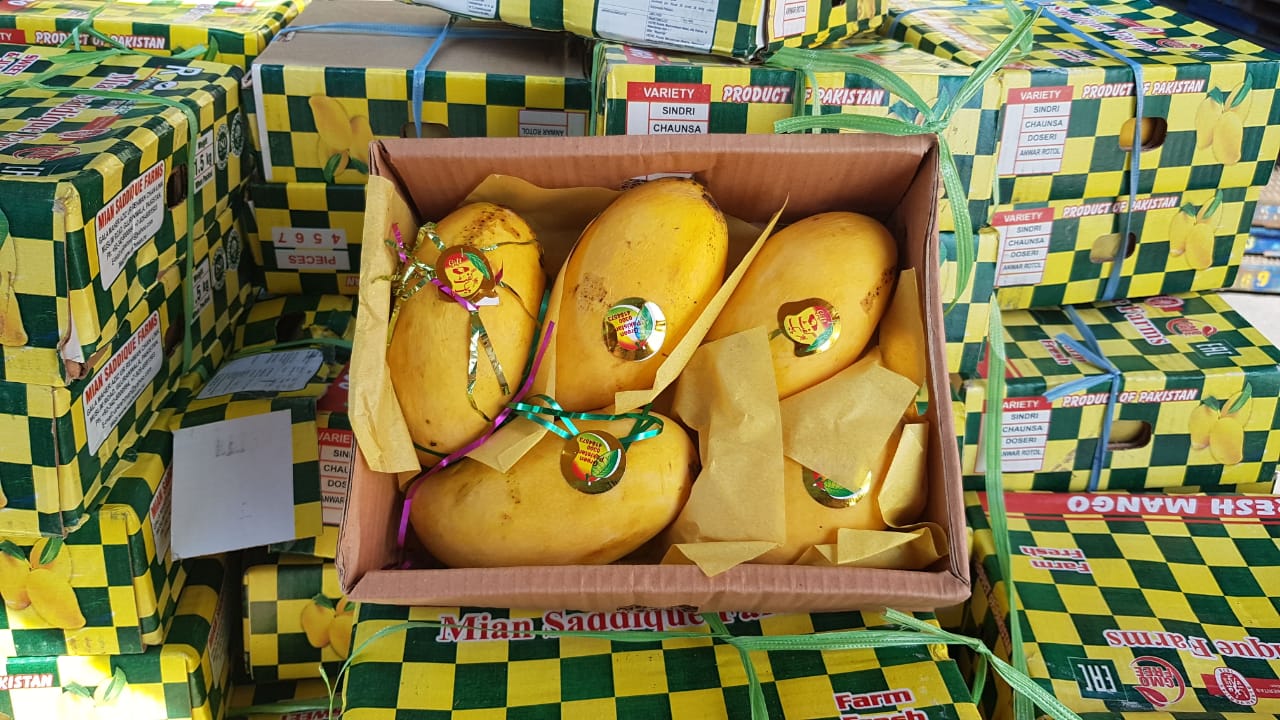 Sindhari Mangoes – Premium Farm-Fresh
