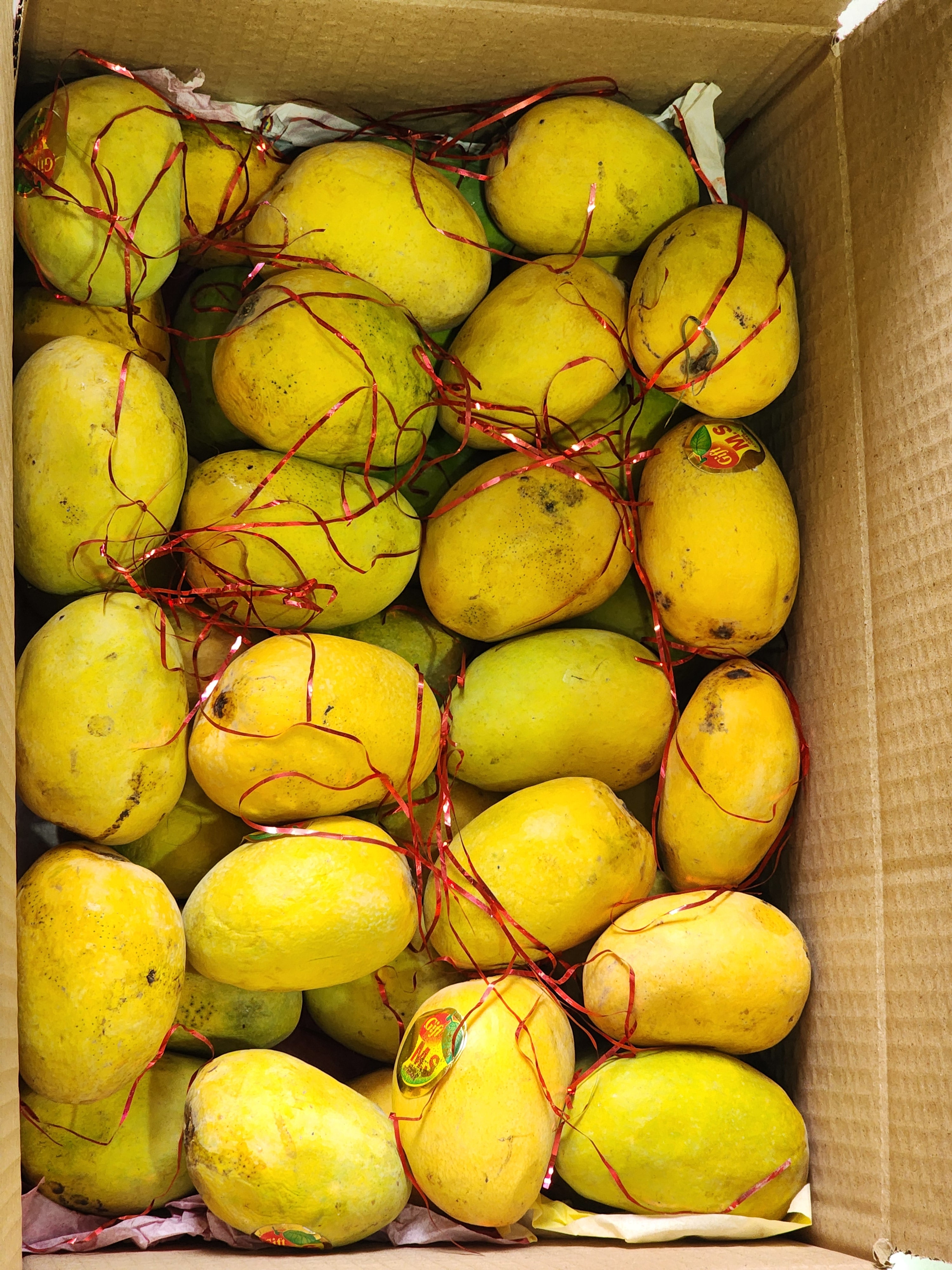 Anwar Ratol Mangoes