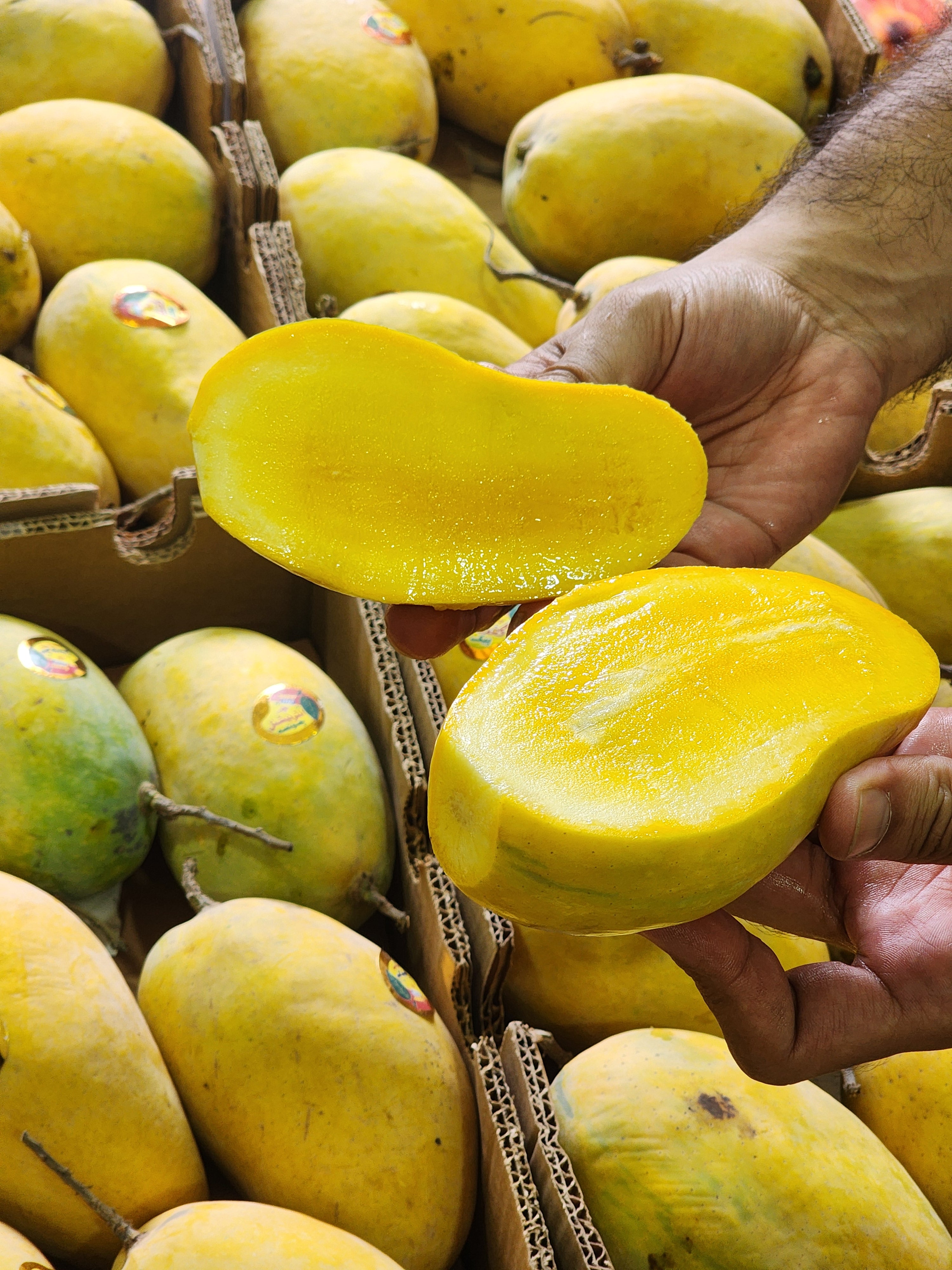 Multan Chaunsa Mangoes – The Honey King