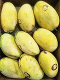 Multan Chaunsa Mangoes – The Honey King