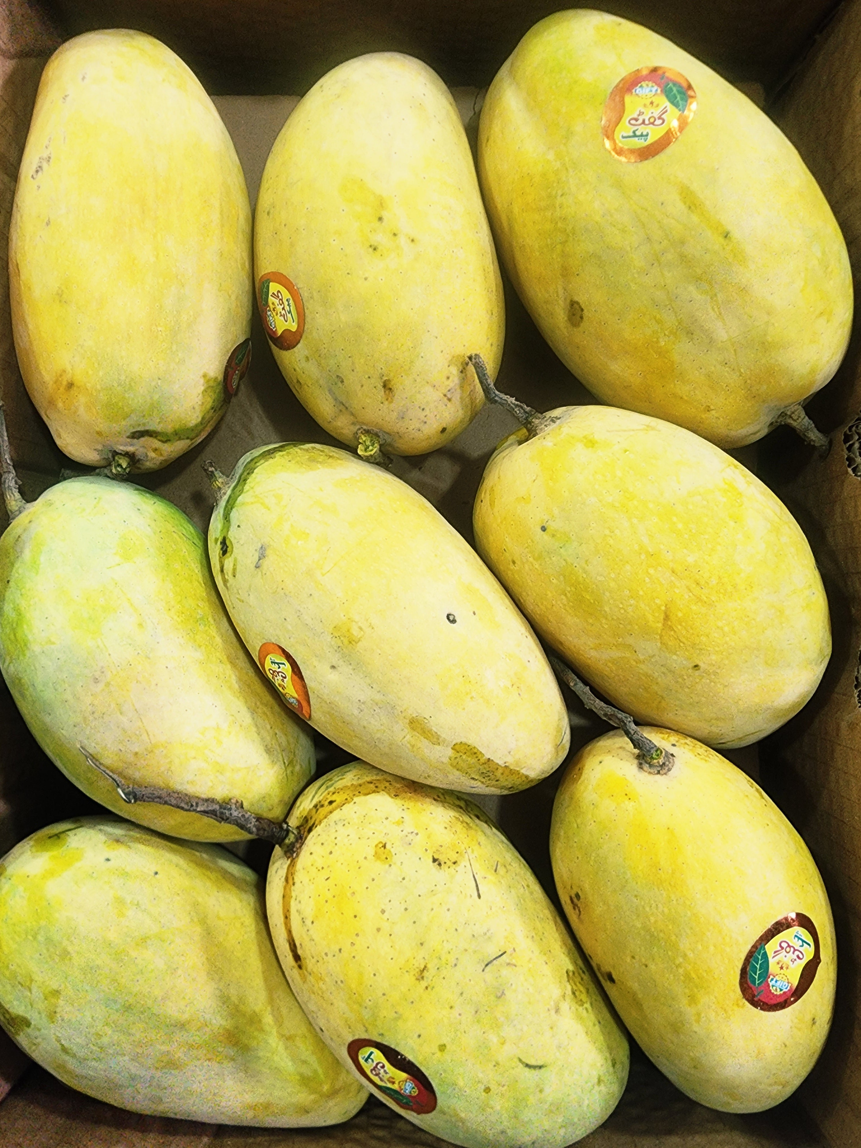 Multan Chaunsa Mangoes – The Honey King