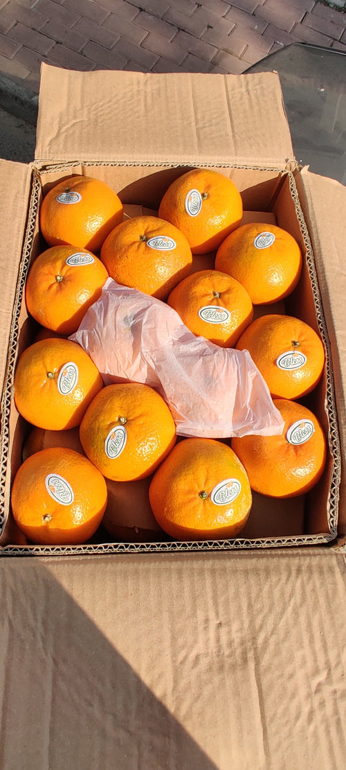 Export Quality Oranges