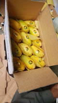 Sindhari Mangoes – Premium Farm-Fresh